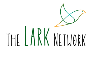 The Lark Network